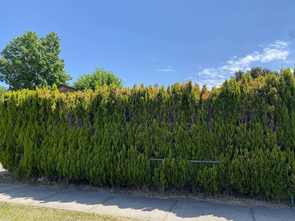 2976 Far West Ave, Medford, OR 97501