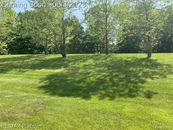 1317 CALLAWAY, Howell, MI 48843