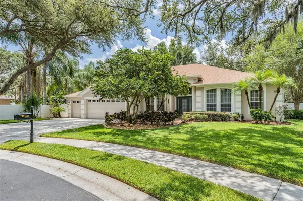 4102 IMPERIAL EAGLE DR, Valrico, FL 33594