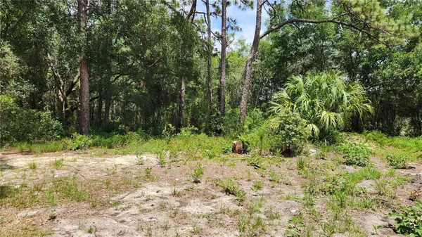 15548 ROCKINGHAM LN, Spring Hill, FL 34610