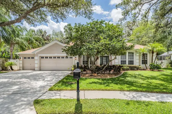 4102 IMPERIAL EAGLE DR, Valrico, FL 33594