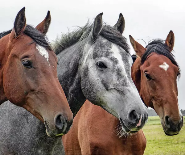 1375 N Ffa RD, Fort Pierce, FL 34945