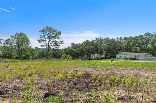 26930 GREEN WILLOW RUN, Wesley Chapel, FL 33544