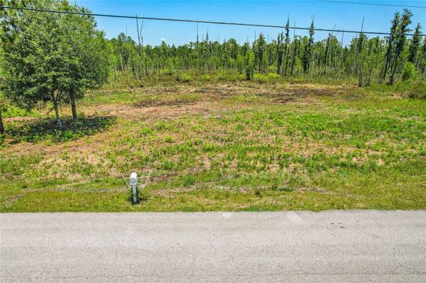 26930 GREEN WILLOW RUN, Wesley Chapel, FL 33544