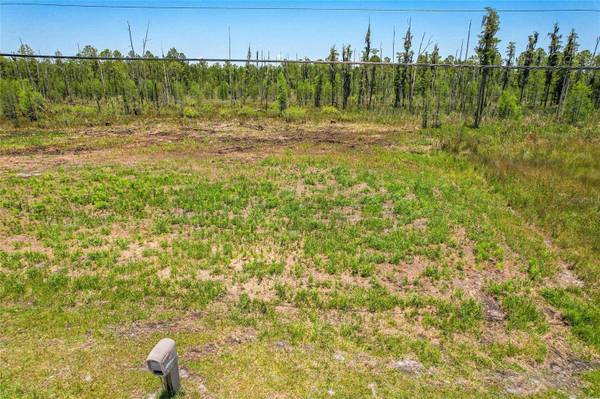 26930 GREEN WILLOW RUN, Wesley Chapel, FL 33544