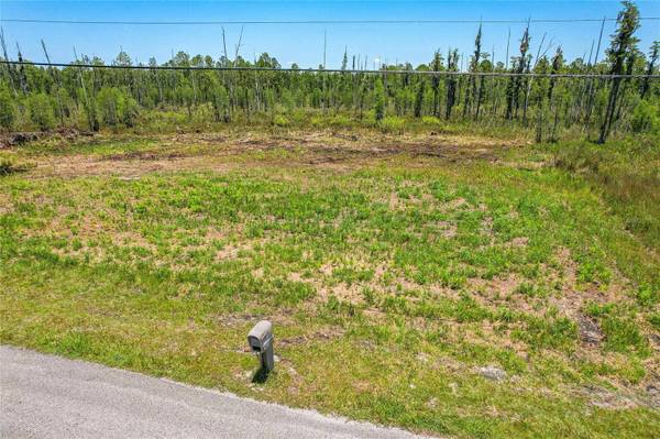 26930 GREEN WILLOW RUN, Wesley Chapel, FL 33544