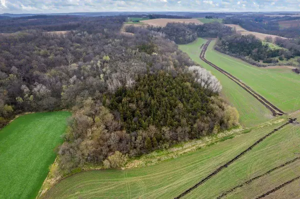 7 Acre Lot Padruti Rd, Black Earth, WI 53515