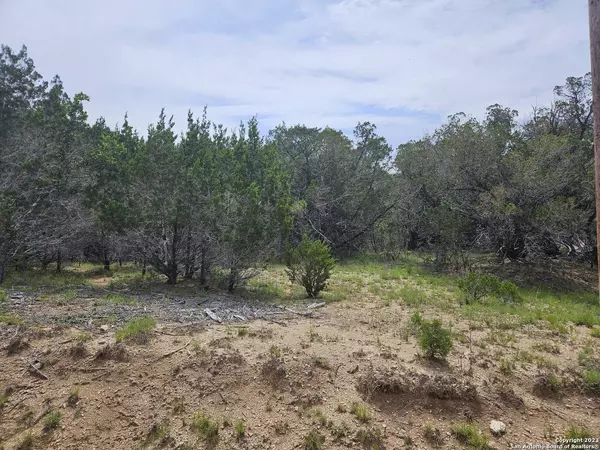 605 BUSHWHACK RD, Kerrville, TX 78028