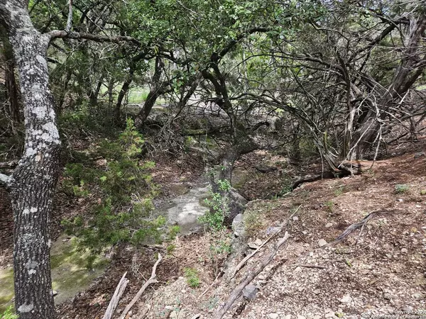 605 BUSHWHACK RD, Kerrville, TX 78028