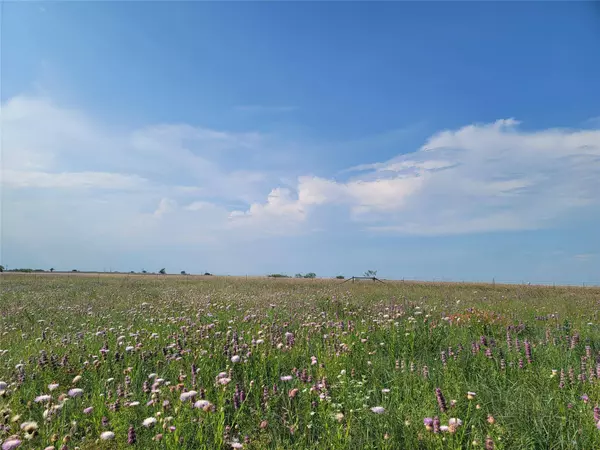 12419 Bella Dio Drive, Fort Worth, TX 76126