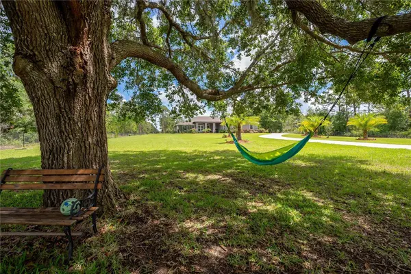 20717 REYNOLDS Pkwy, Orlando, FL 32833