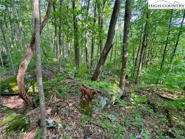 TBD Boulder Gardens RD, Banner Elk, NC 28604