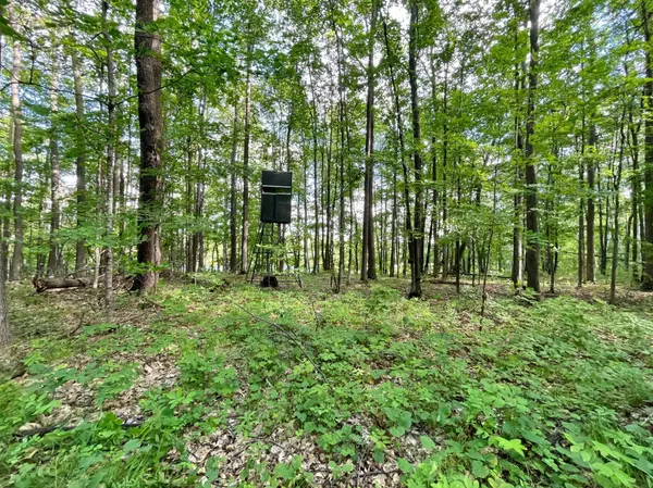 XXX County Road 105, Aitkin, MN 56431