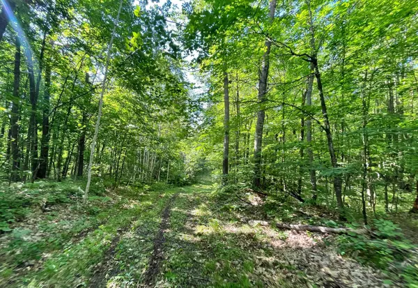 XXX County Road 105, Aitkin, MN 56431