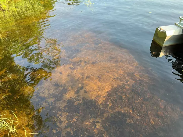 27725 Stark Lake RD, Aitkin, MN 56431