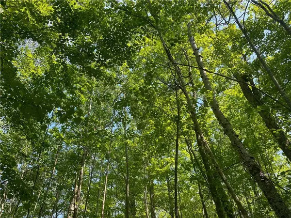 Lot 7 Secluded Trail, Hayward, WI 54843