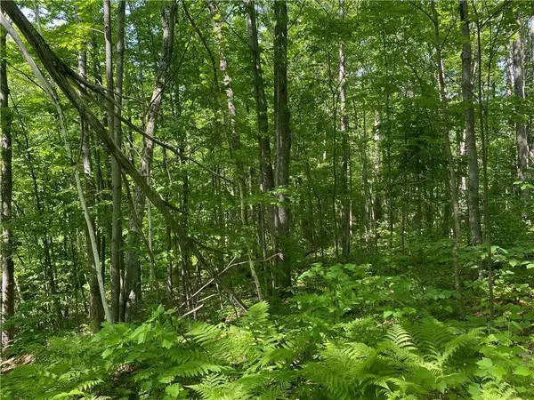 Lot 7 Secluded Trail, Hayward, WI 54843