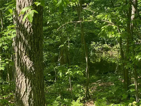 Lot 7 Secluded Trail, Hayward, WI 54843