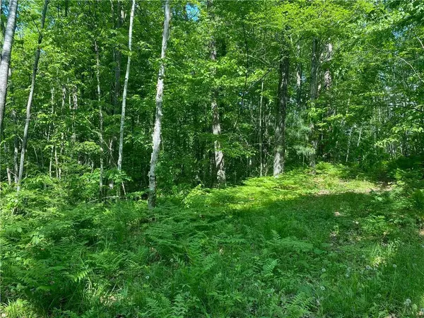 Lot 7 Secluded Trail, Hayward, WI 54843