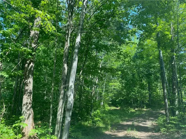 Lot 7 Secluded Trail, Hayward, WI 54843