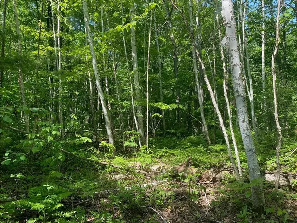 Lot 7 Secluded Trail, Hayward, WI 54843