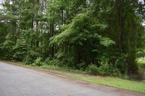 1140 Sportsman Dr., Manning, SC 29102