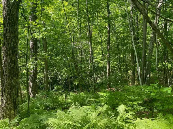 Lot 7 Secluded Trail, Hayward, WI 54843