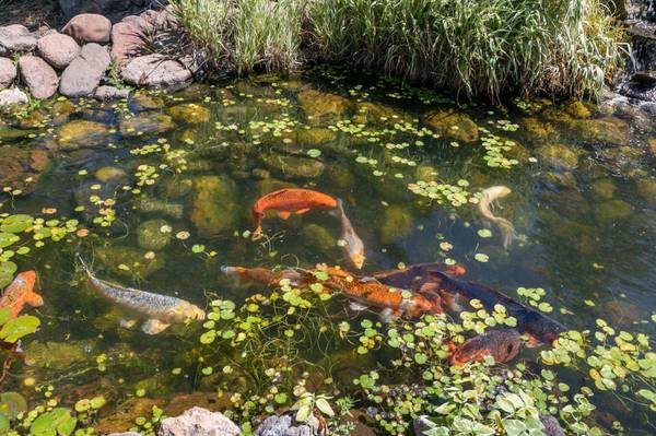 20547 Sawyer Rd, Shady Cove, OR 97539