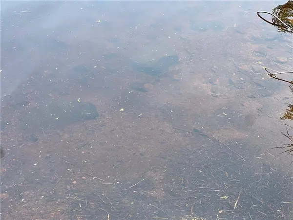 4878N Fur Farm Trail, Winter, WI 54896