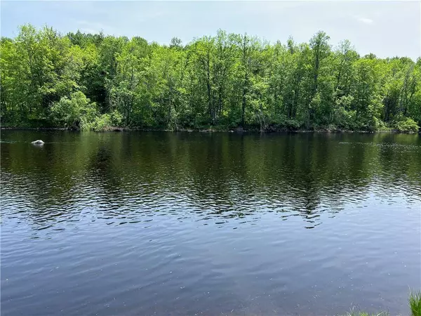 4878N Fur Farm Trail, Winter, WI 54896