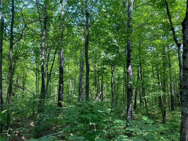 0 State Hwy 53, Solon Springs, WI 54873