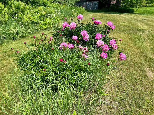 51499 Great River RD, Palisade, MN 56469