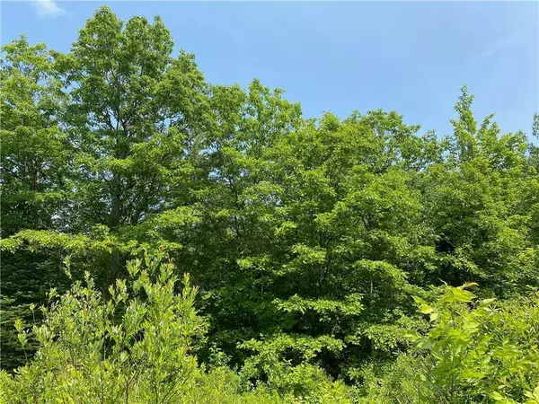 0 State Hwy 53, Solon Springs, WI 54873