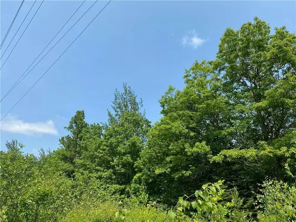 0 State Hwy 53, Solon Springs, WI 54873