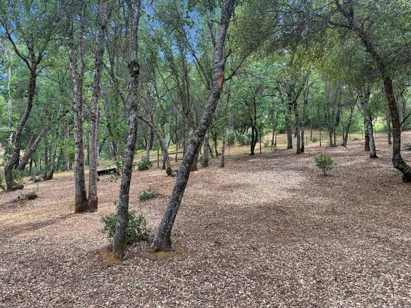 14606 Arrow RD, Penn Valley, CA 95946