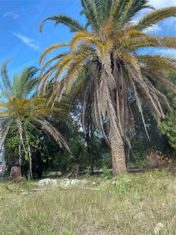 12709 CAPITOL DR, Hudson, FL 34667