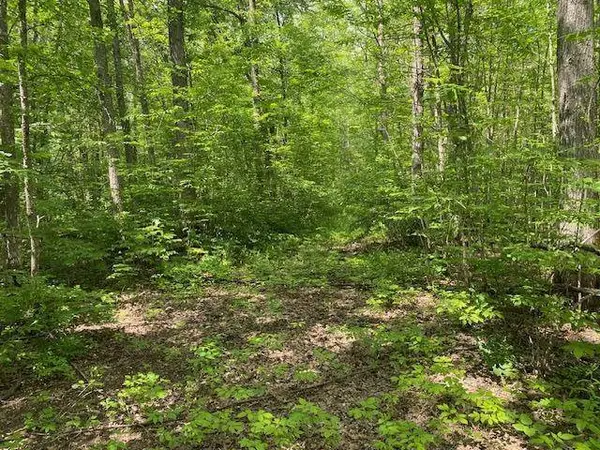 TBD 282nd PL, Palisade, MN 56469