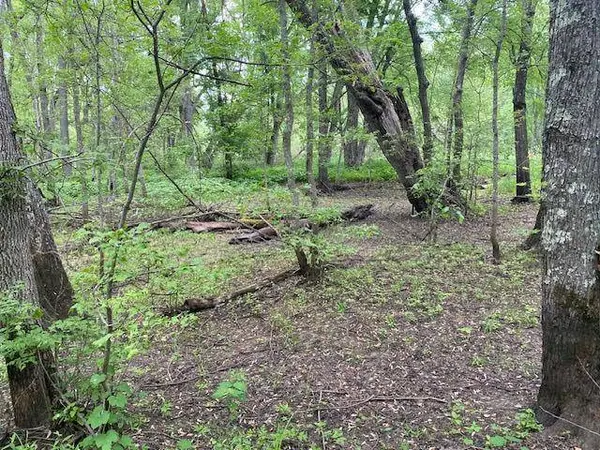 TBD 282nd PL, Palisade, MN 56469