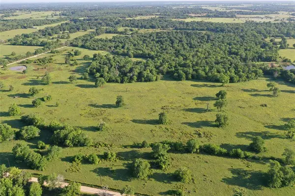 14072 Bundic RD, North Zulch, TX 77872