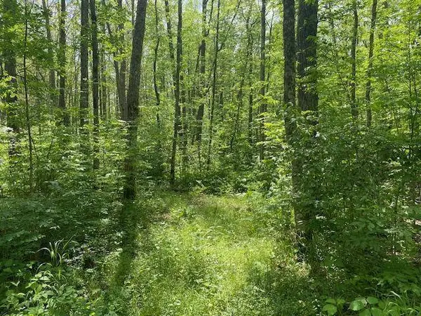 TBD 282nd PL, Palisade, MN 56469