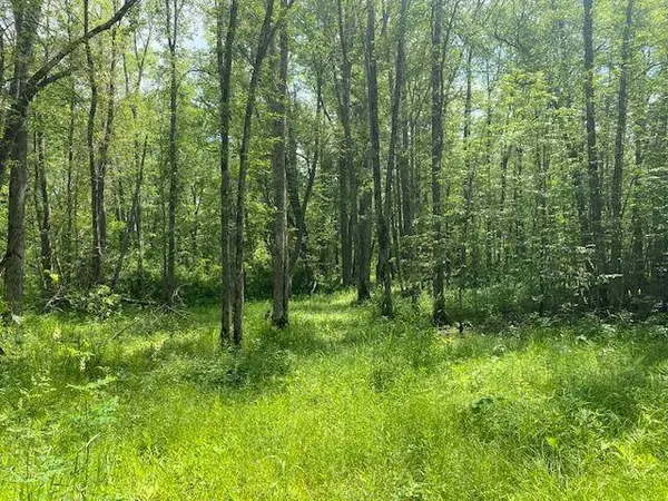 TBD 282nd PL, Palisade, MN 56469