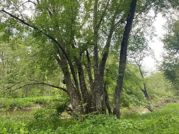 TBD 282nd PL, Palisade, MN 56469