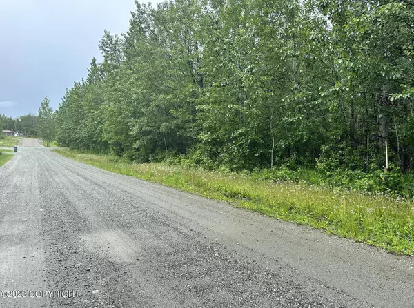 2201 E Phainopepla CIR, Wasilla, AK 99654