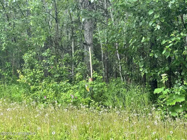 2201 E Phainopepla CIR, Wasilla, AK 99654