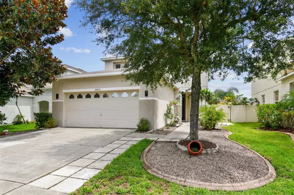 18833 SUNTERRA DR, Land O Lakes, FL 34638