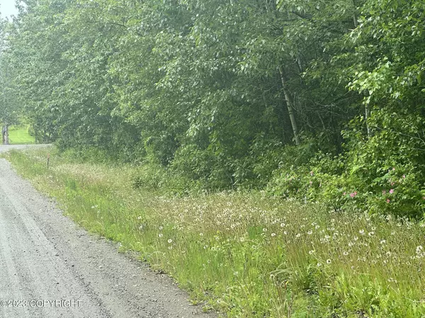 2201 E Phainopepla CIR, Wasilla, AK 99654