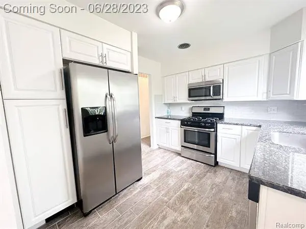 22833 E SCHAFER Street, Clinton Township, MI 48035