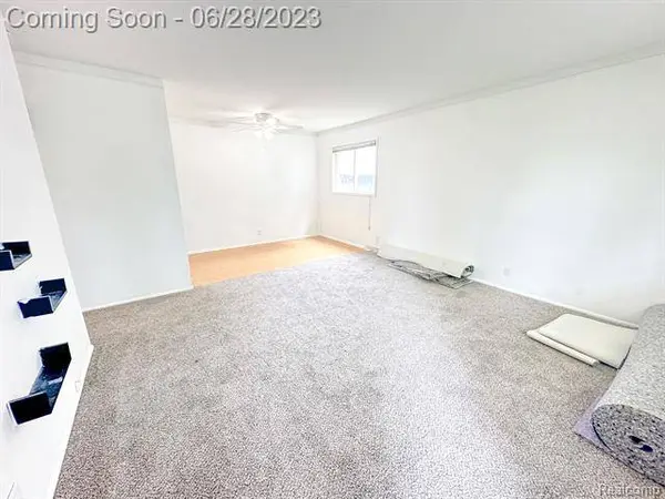 22833 E SCHAFER Street, Clinton Township, MI 48035