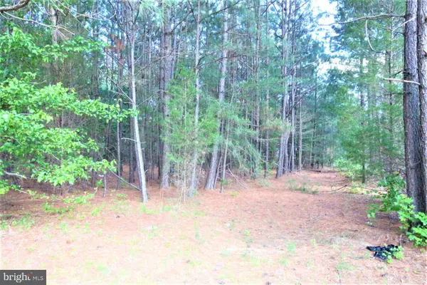 25442 JONES WHARF RD, Hollywood, MD 20636