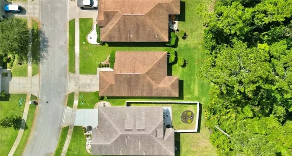 353 DAHOON HOLLY DR, Daytona Beach, FL 32117